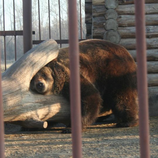Starooskolsky Zoo