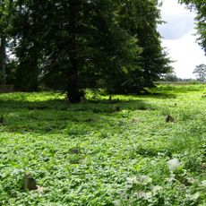 Cmentarz ewangelicki w Fiszewie