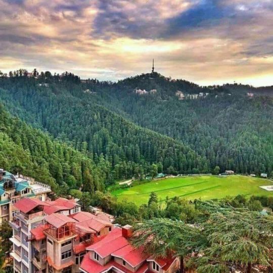 Annadale, Shimla