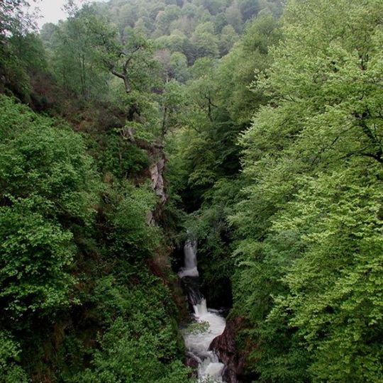Saja