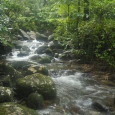 Masoala National Park