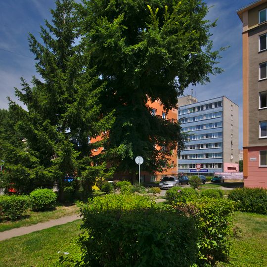 Jilm na Charkovské ulici