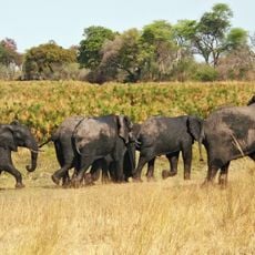 Bwabwata-Nationalpark