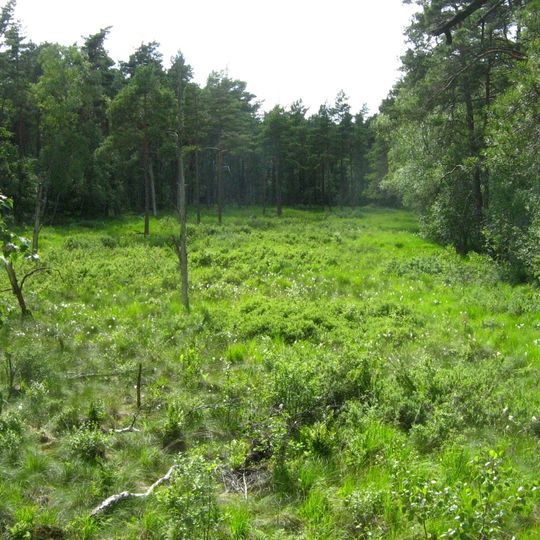 Dänschenburger Moor und Teufelsmoor bei Gresenhorst