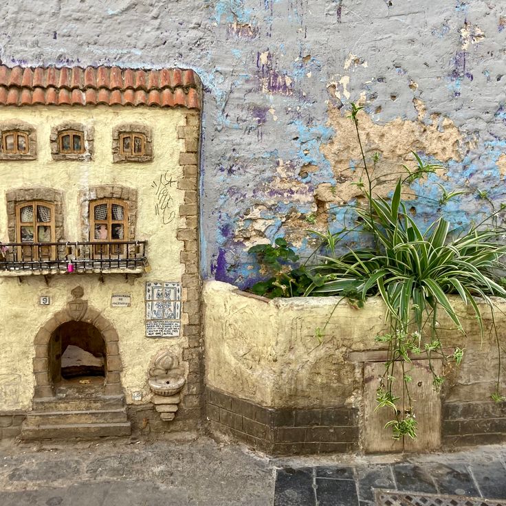 La casa dels gats