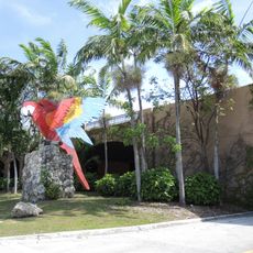 Jungle Island
