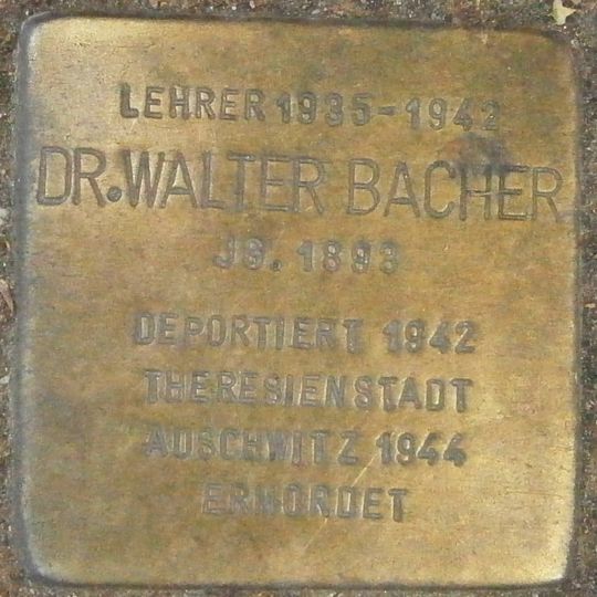 Stolperstein für Dr. Walter Bacher