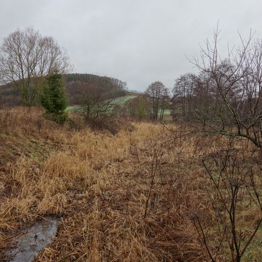 Feuchtgrünland am Hengsbecker Bach
