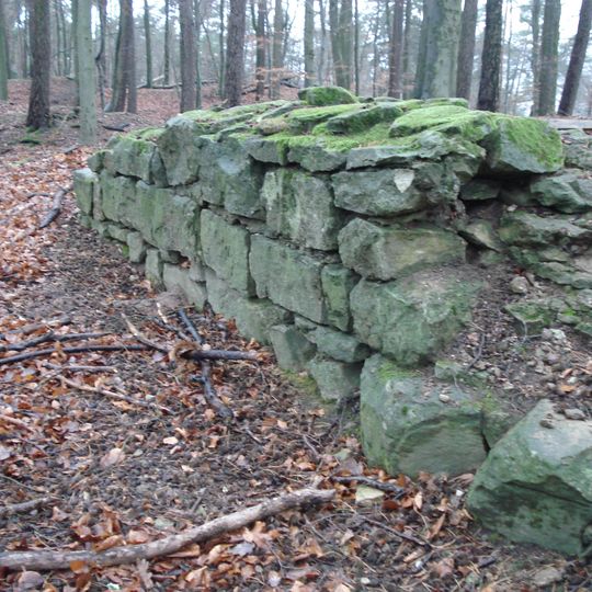 Burgstall Klosterberg