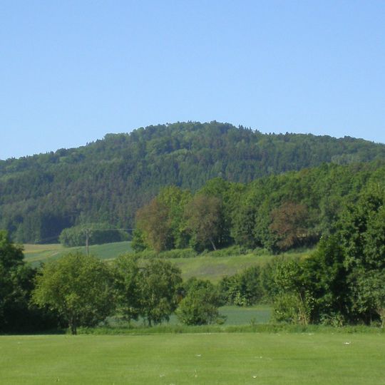 Burgstall Pfaffendorf