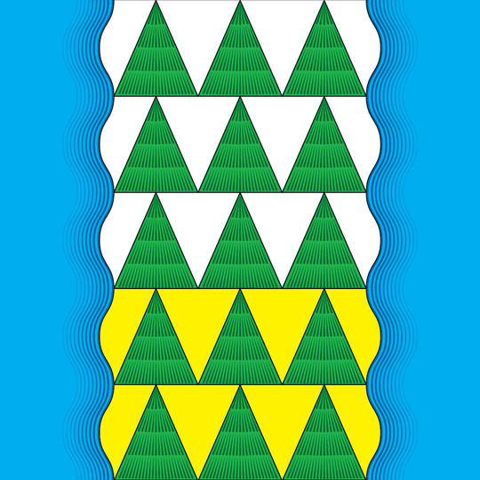 Mamsko-Čujskij rajon