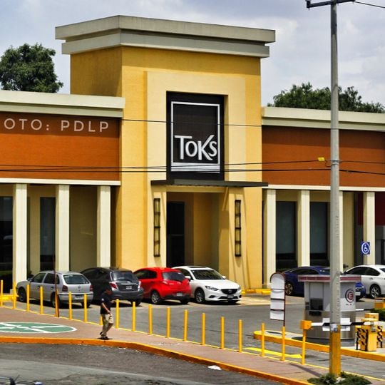 Toks Cedros