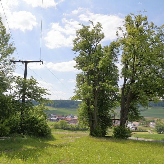 3 Linden im Gewann „Spatzenklinge“