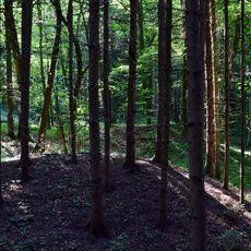 Römisches Hügelgräberfeld