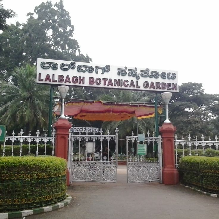 Giardini Botanici di Rio de Janeiro