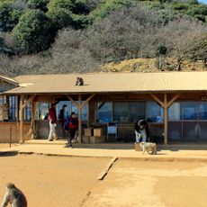 Iwatayama Monkey Park