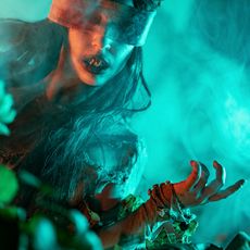 The ScareHouse