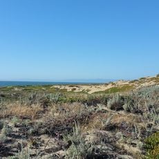 Monterey State Beach