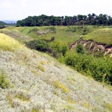 Balka Kyrpychna Reserve