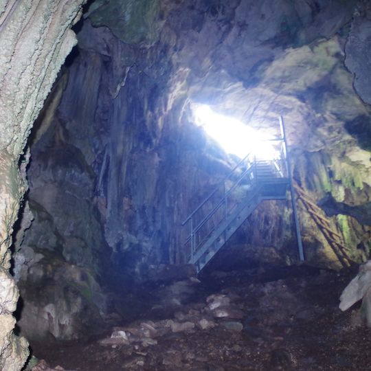 Голубарница