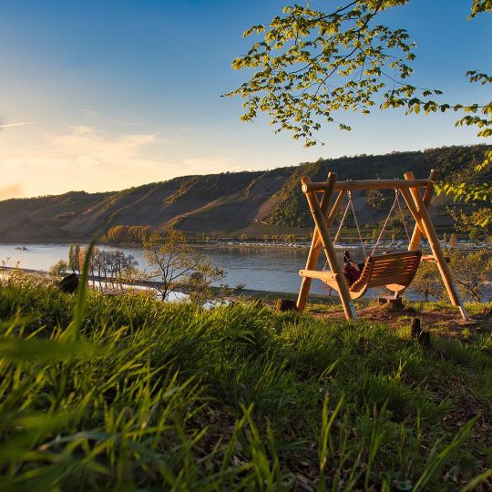Rheinschaukel am Langhalsweg