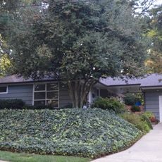 Wachovia Building Company Contemporary Ranch House