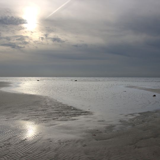 Salvikens strandängar