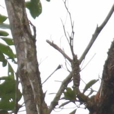 Nationalpark Capiro Calentura
