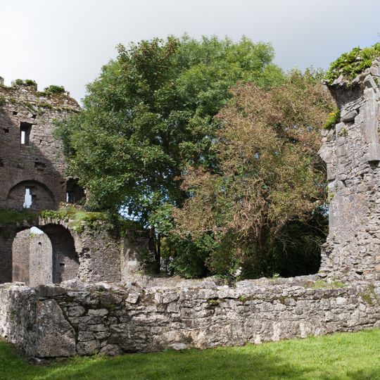 Castlelyons Friary