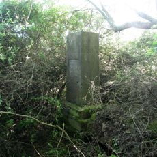 Kříž západně od Chodského Újezdu v křoví