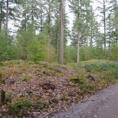 Terrein waarin twee grafheuvels