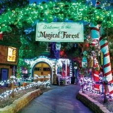 Magical Forest