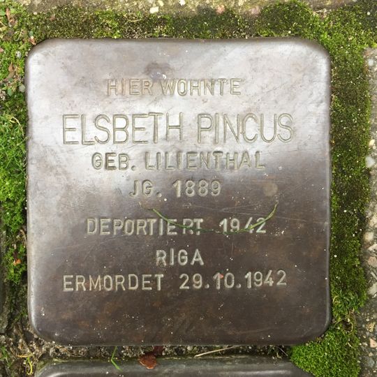 Stolperstein für Elsbeth Pincus