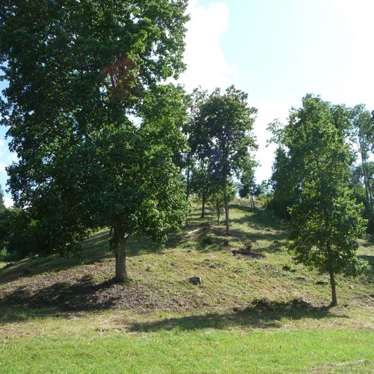 Žuklijai hillfort