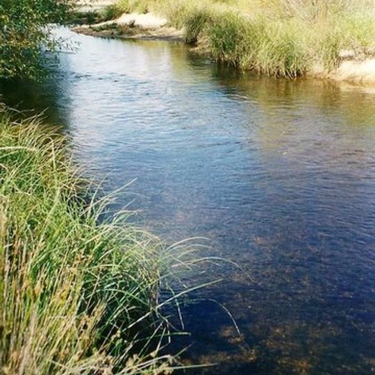 Shoalhaven River