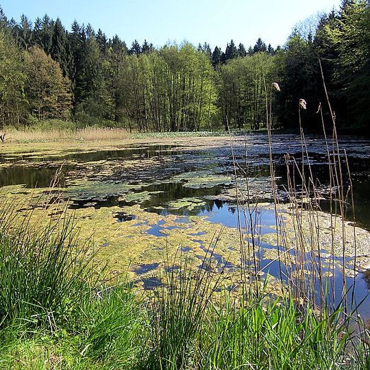 Hütter Wohld und Kleingewässerlandschaft westlich Hanstorf