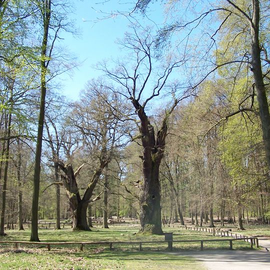 Ivenacker Tiergarten, Stavenhagener Stadtholz und Umgebung