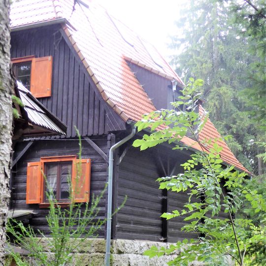 Konopnickiej 1, Detail