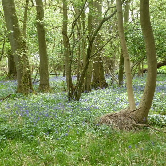 Glapthorn Cow Pasture