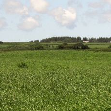 Bowl barrow on Ugworthy Moor 510m south of West Ugworthy House