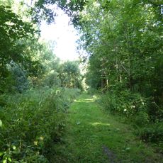 Hintlesham Woods