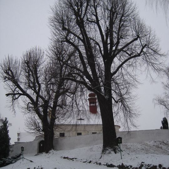 Jírovec maďal ve Ctiněvsi