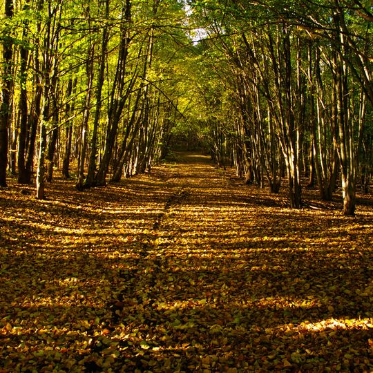 Mössebergs östsluttning