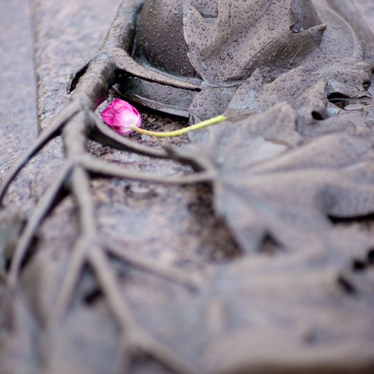Canadian Tomb of the Unknown Soldier