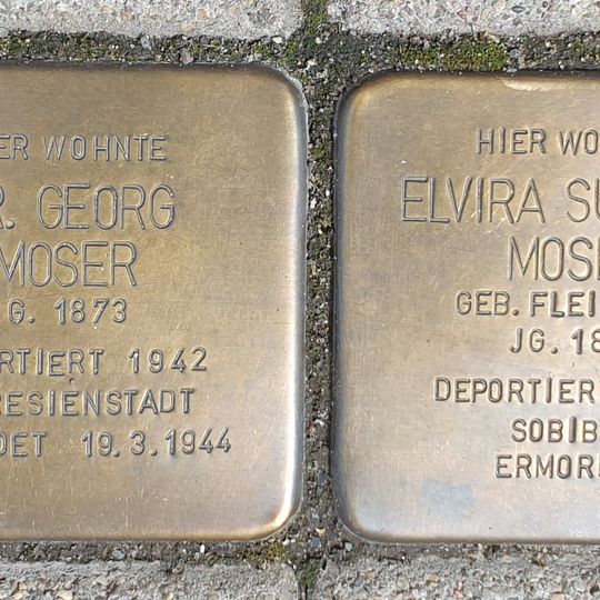 Stolperstein en memoria de Dr. Georg Moser