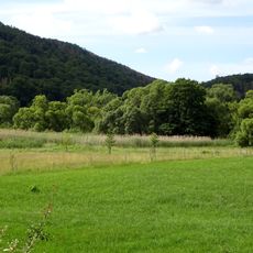 Schilffläche mit angrenzenden Feuchtwiesen bei Kleinern