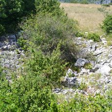 Dolmen de Tournemire