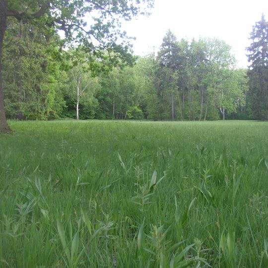 Slatinná louka u Liblic