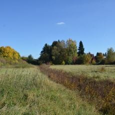 Eichenwaldgraben - Stockweiher
