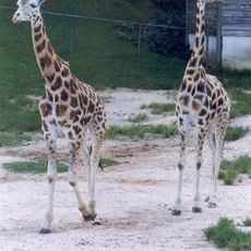 Jardim Zoológico de Curitiba